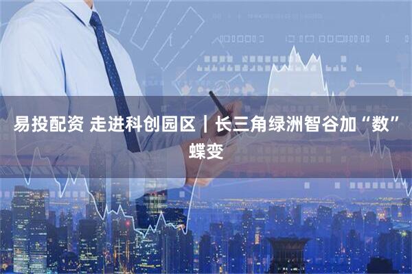 易投配资 走进科创园区｜长三角绿洲智谷加“数”蝶变