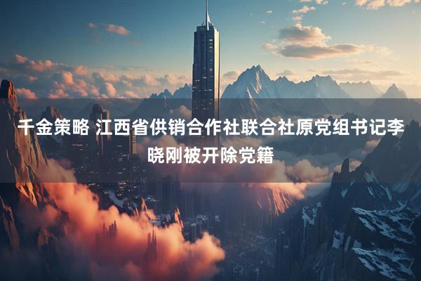 千金策略 江西省供销合作社联合社原党组书记李晓刚被开除党籍